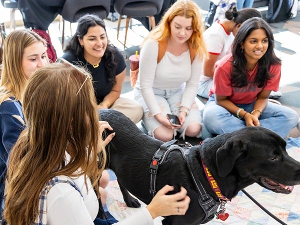 A group of young adults sitting on the floor with a black dog wearing an ASU collar and harness.