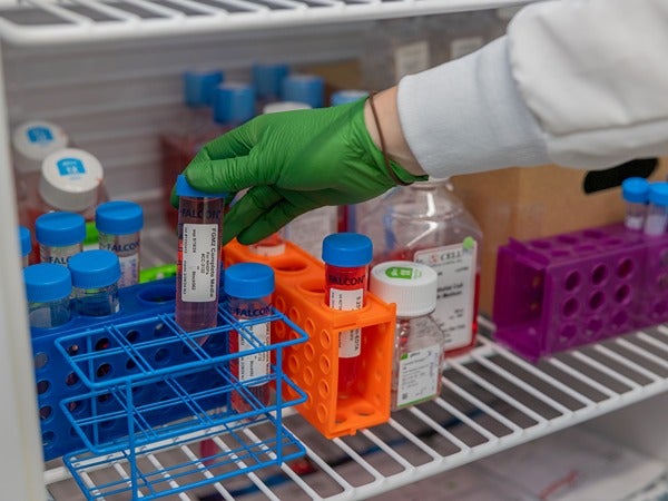 A gloved hand holding a test tube inside a lab refrigerator with various racks and bottles.