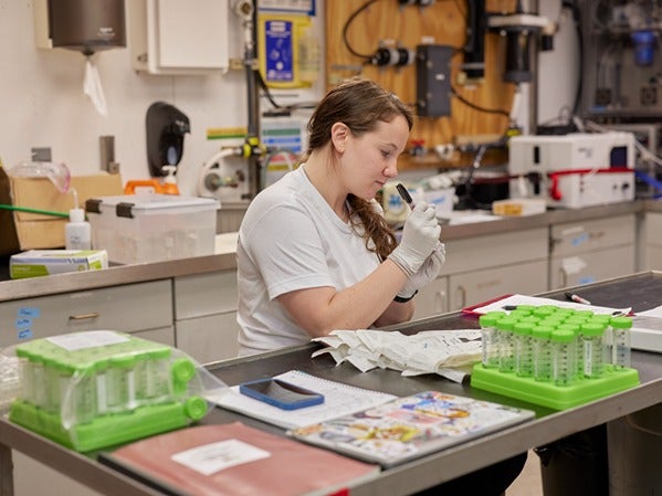 Person in a lab examining a test tube at a workbench with lab equipment.