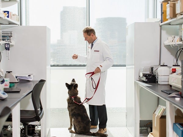 A man in a lab coat with a German Shepherd dog in a bright laboratory.