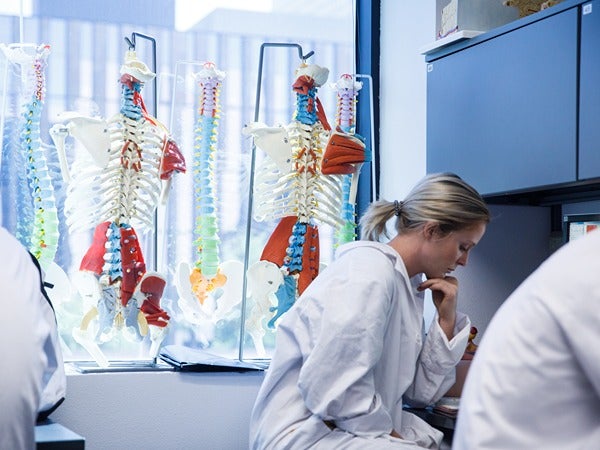 A person in a lab coat working at a desk with anatomical spine models displayed by a window.