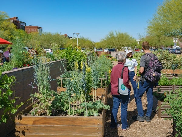 Three people talking in a community garden with wooden raised beds full of plants.