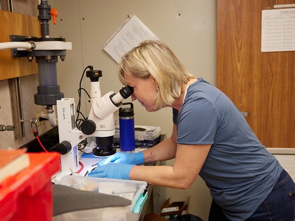 A woman looking through a microscope in a laboratory.