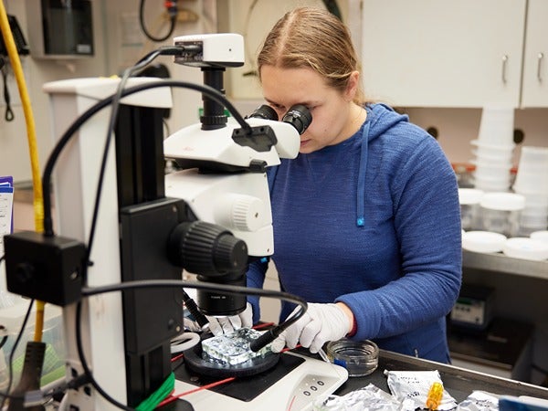 Person examining a specimen under a microscope in a lab.