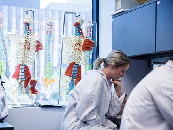 Person in a lab coat working near anatomical models of human torsos.