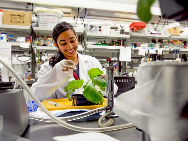 Person in a lab coat conducting an experiment with a potted plant in a laboratory.