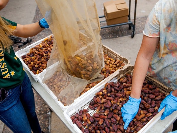People sorting dates into bins with gloved hands.